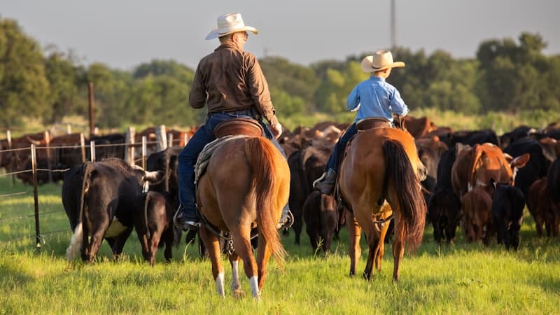 What to Do With Inherited Land in Texas