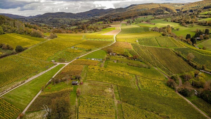 Selling Land You've Never Visited
