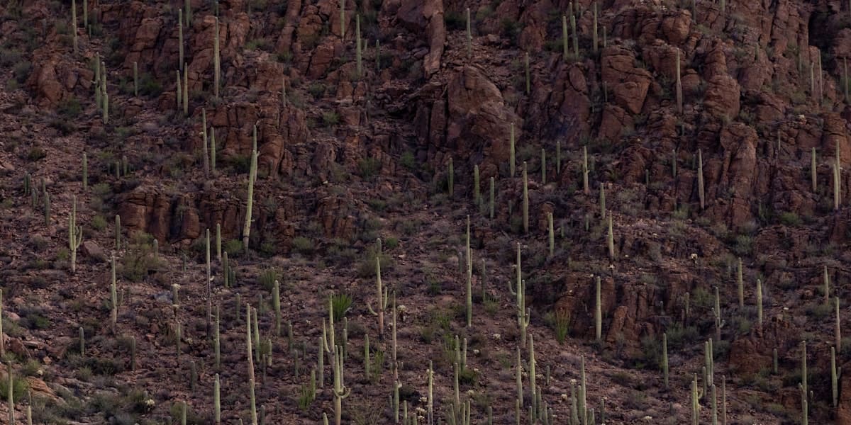 Vacant land in Tucson, Arizona